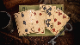 ���ӥ󡦥եåɥǥå� / Robin Hood Playing Cards by Kings Wild