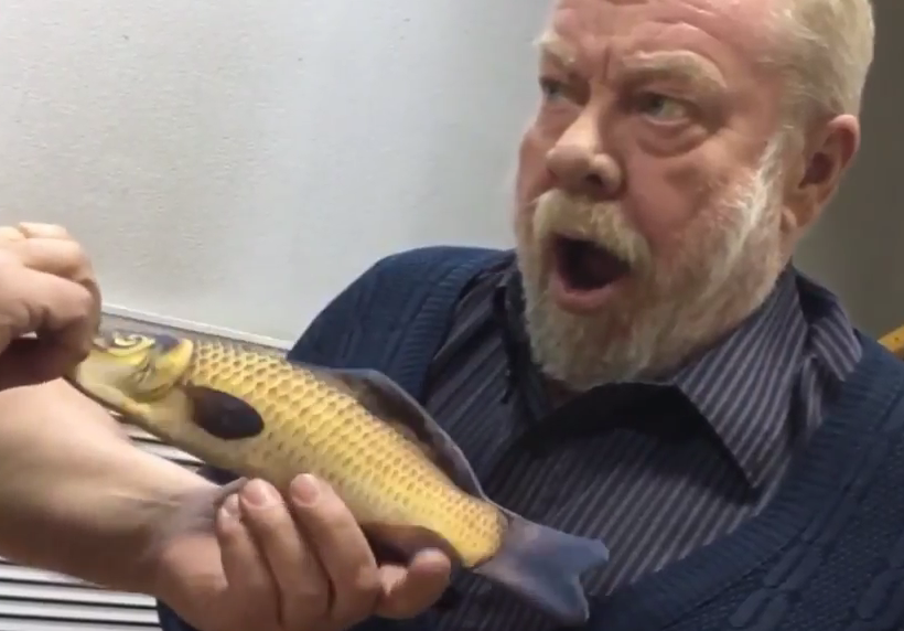 ���᡼���󥰡��ե��å���/Amazing Fish!