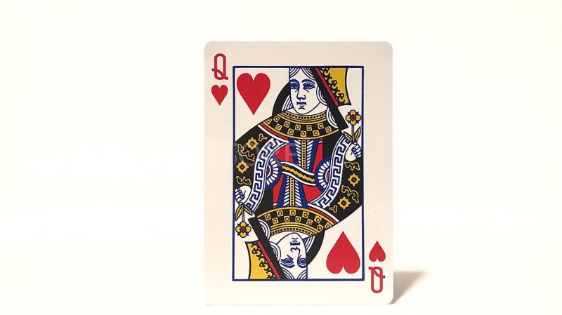 ΡΡեǥå ֡/NORTHTAL NORTHFELL