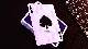 NOC�ǥå�����/NOC Original Deck (Purple) Printed at USPCC  by The Blue Crown