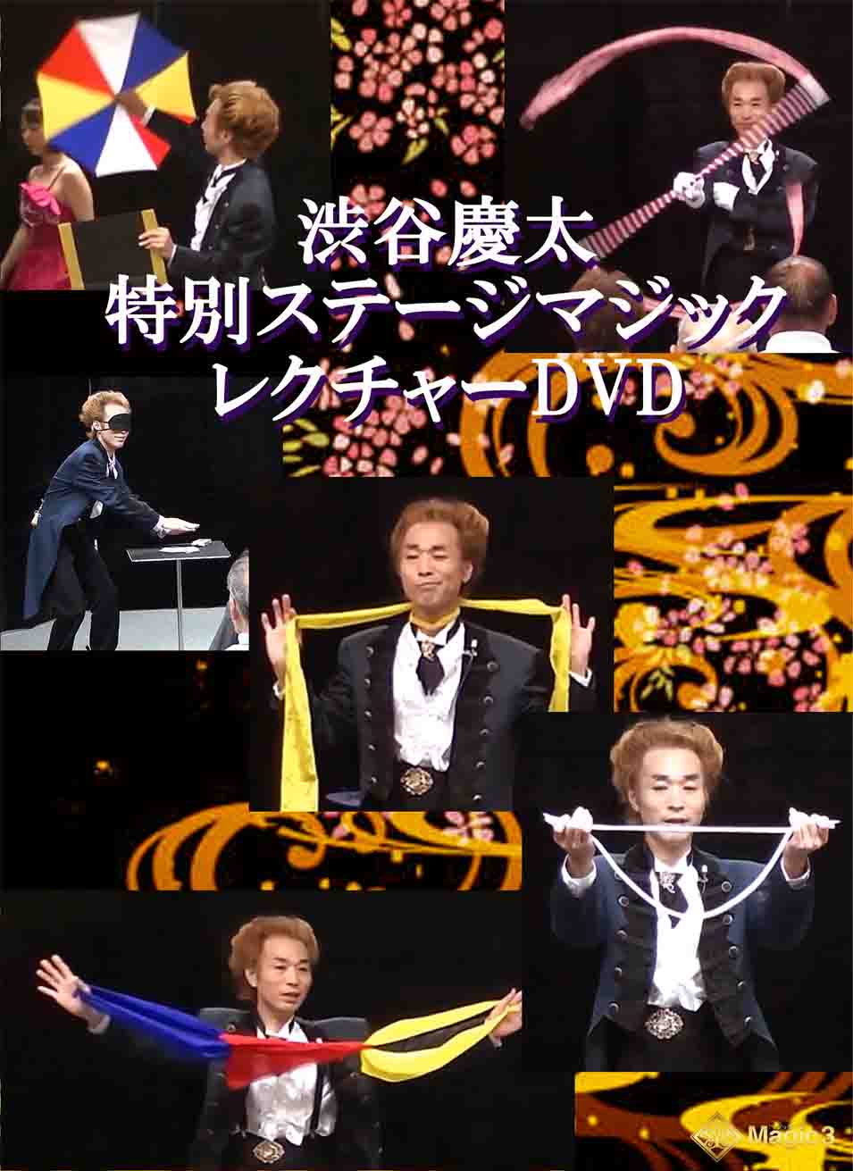 ��ë���� ���̥��ơ����쥯���㡼DVD��2����DVD��