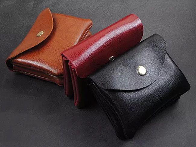 ɡåȡʹ / Card and Coin Carrier