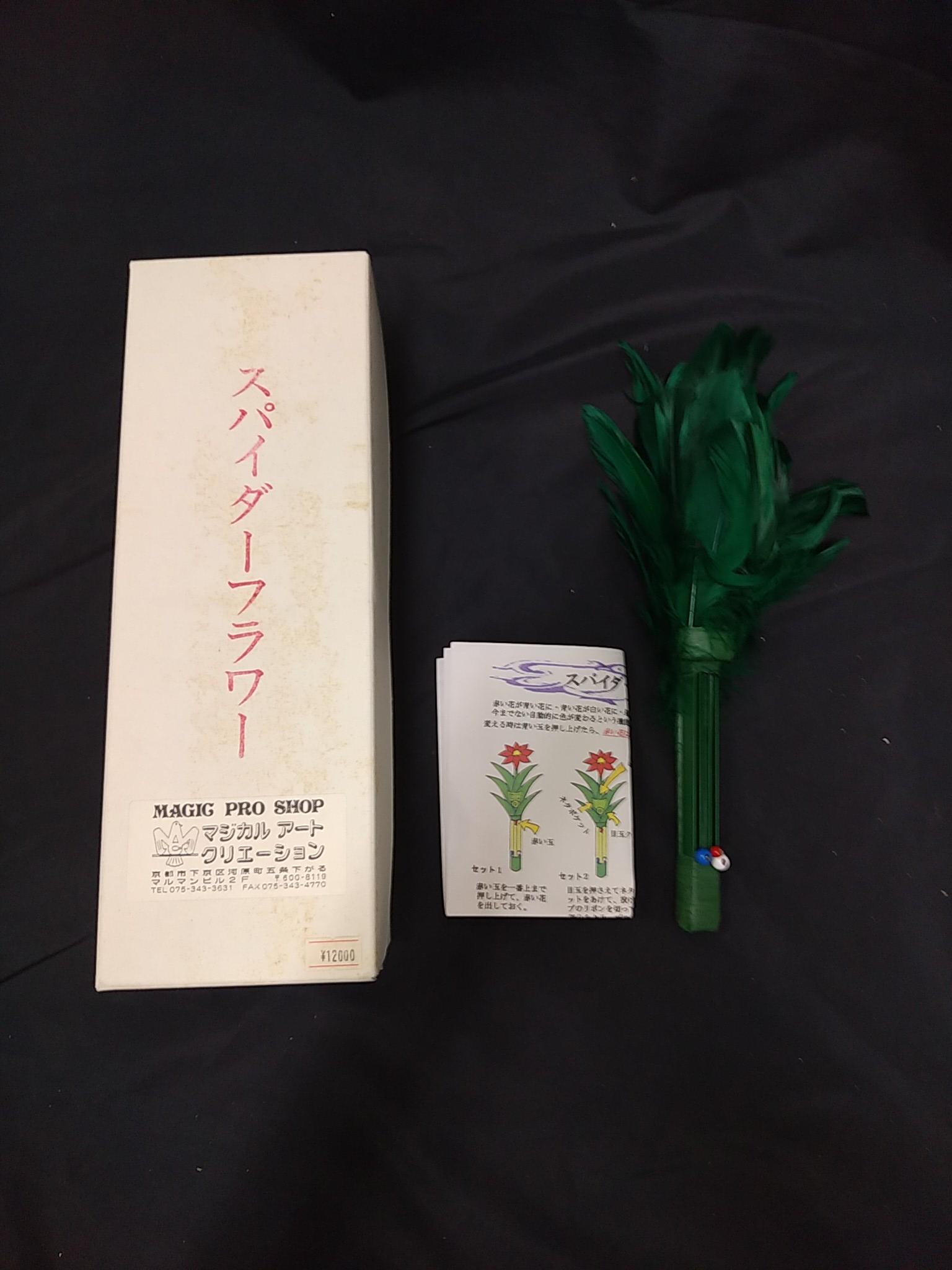 スパイダーフラワー