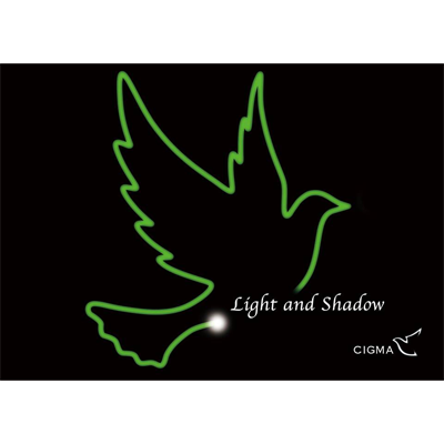 Light & Shadow�ʥ饤�ƥ��󥰥֥å�)