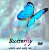 Butterfly(�Х��ե饤)