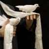 Dove from Scarf, Double(ȷ�Ф��ޥե顼)
