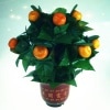 The Orange Tree Illusion(�����ȥޥ��å��ߤ������)