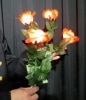 Lighting Roses Set - Remote Control/��⡼�ȥ���ȥ����룴�إ饤�ȥ�����