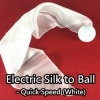 Electric Silk to Ball/���쥯�ȥ�å������륯to�ܡ���