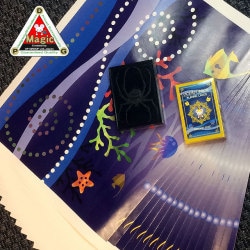 DPG �ɥǥ����ɤ�����ʥȥ�ץ륷��å���