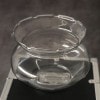 Magic Goldfish Bowl/��ˡ�ο���