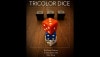 TRICOLOR DICE/�ȥꥫ�顼������