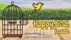 HAPPY BIRD PADDLE/�ϥåԡ��С��ɥѥɥ�