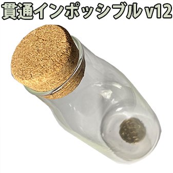 ���̥���ݥå��֥� V12