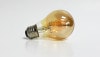 CONNEXiON REPLACEMENT BULB/���ͥ������(�ŵ��ե���)