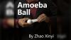 Amoeba Ball/᡼Хܡ