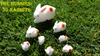 The Bunnies! 3D Rabbits/����3D��ӥåȥ��å�