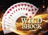 �磻��ɥ���å� WILD SHOCK by.SYOUMA