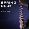 Spring Deck/���ץ�󥰥ǥå�