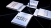 Mirror Paddle/�ߥ顼�ѥɥ�
