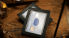 Phantom Wallet/�ե���ȥ���å�