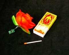 Match to Rose