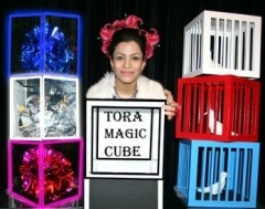 App Three Crystal Cubes and Colorful Dove Cages from Empty Box/����DVD�դ�