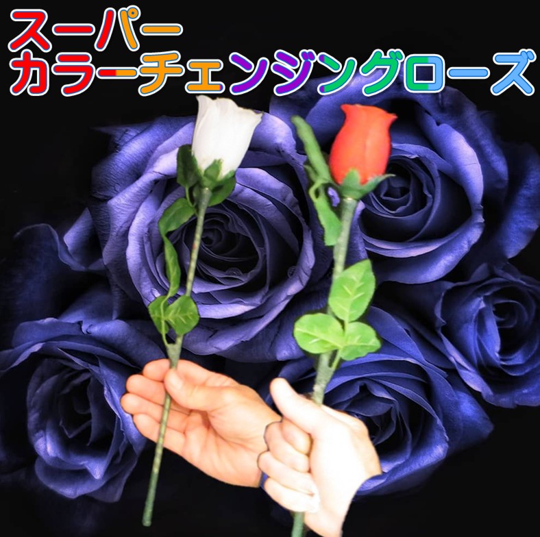 アンリアレイジ色の変わる花バラ