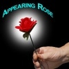 Appearing Rose/���ԥ���󥰥��������ץ���