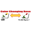 Color Changing Rose/����DVD�դ�