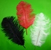 Ostrich Feathers For Appearing Cane and Vanish Cane