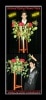 Hamed Flying Flower Vase/����DVD�դ�