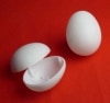 Plastic eggs (White)