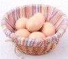 Super Wooden Egg