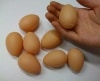 Rubber Egg/�ߥ˥����������ޥ�