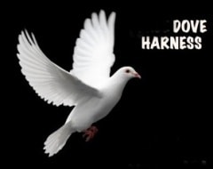 Barehanded Dove Production(����ӥ��֥���֥ϡ��ͥ�)