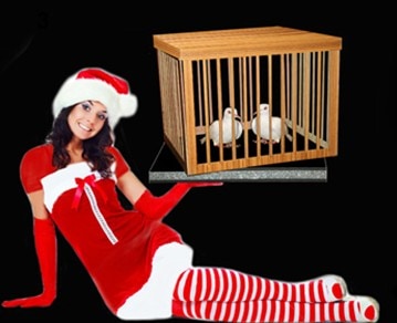 Appearing a Big Dove Cage From Tray/����DVD�դ�