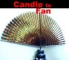 Candle to Fans/DVDդ