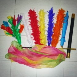 Feather Sticks Variation(���ƥ��å��ե������������ѡ��ޥ��å����å�)/����DVD�դ�
