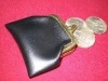 �����󡦥ѡ���/Coin Purse Vinyl