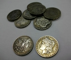 Morgan Dollar/��륬����顼����ץꥫ