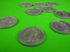 Magnetic Morgan Dollar