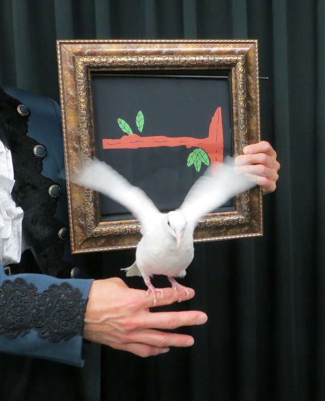 Dove Picture To Real Dove/���֥ԥ����㡼to�ꥢ�����(��������)