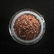 Expanded Shell Queen Victoria Ancient Coin /�������󡦥ӥ��ȥꥢ��Ƽ�ߡ��������ѥ�ƥåɥ�����