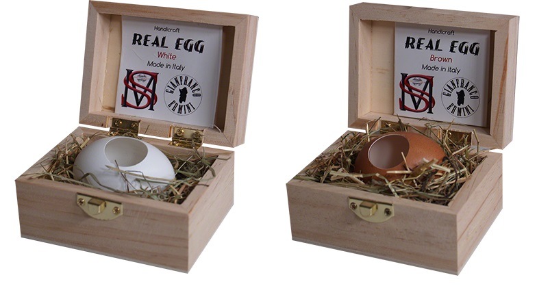 Real Egg(Ķ�ꥢ��ꤢ�����ޥ�)