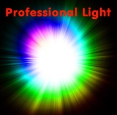 Professional Light(���ż�����ˤΥǥ��饤��)