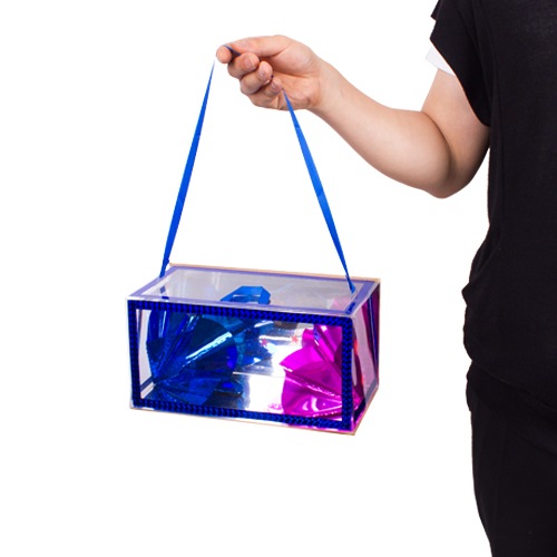 Clear Dream bag/���ꥢ���ɥ꡼��Хå�