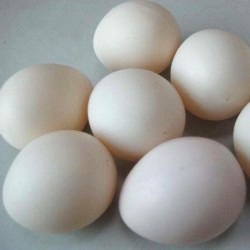 Super Plastic egg/�����ѡ��ץ饹���å����å�