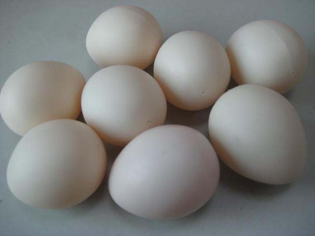 Super Plastic egg/�����ѡ��ץ饹���å����å�