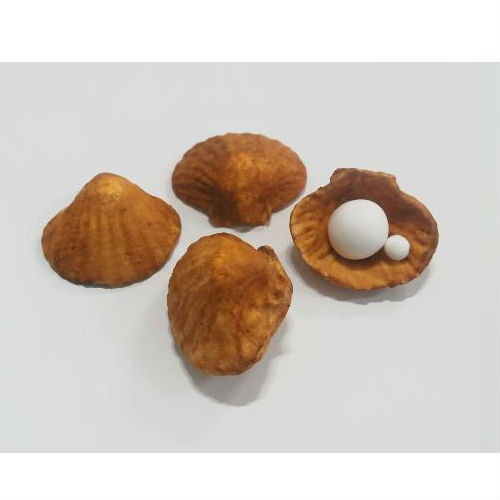 Shell game/�ꥢ�륷����(����)������